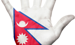 Nepalese Flag on Palm