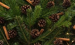 Pine fronds with cones and cinnamon sticks